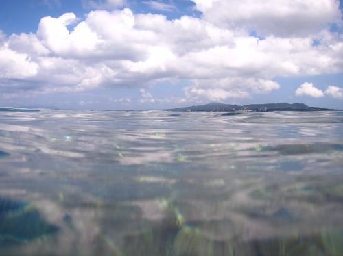 水面ぷかぷか。