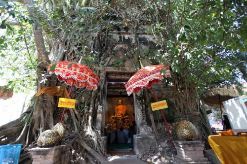 木の前から見る