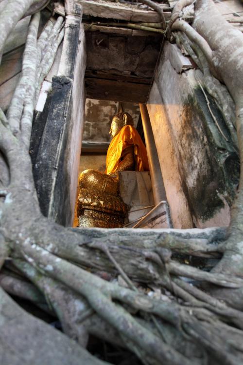 よく写ってる写真