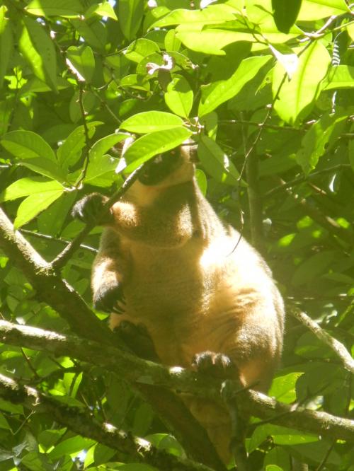 お母さんが食事中