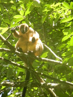 私とツアー参加者を観察