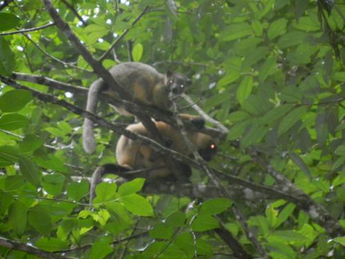 幼児の寝る時間なのでお母さんが迎えにきま