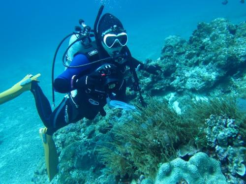 カメラダイビング