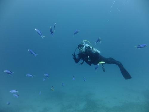 ハナゴイに囲まれて