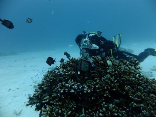 ドラゴンレディ