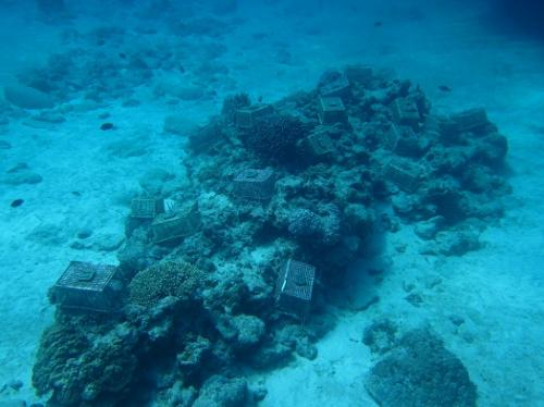 この根いっぱいに