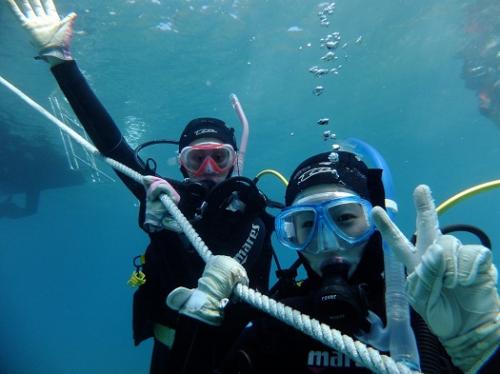 安全停止してまーす!