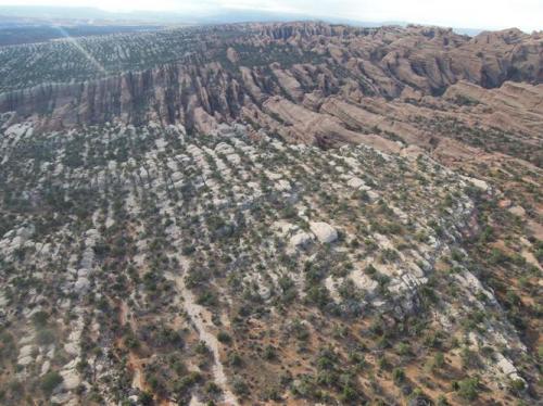 洗濯板のような岩