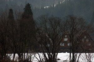 白川郷 木々の間から合掌造り