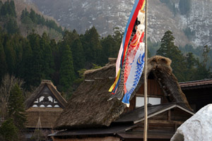 白川郷荻町合掌集落内に〜鯉のぼり〜