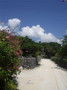 竹富島・水牛車6