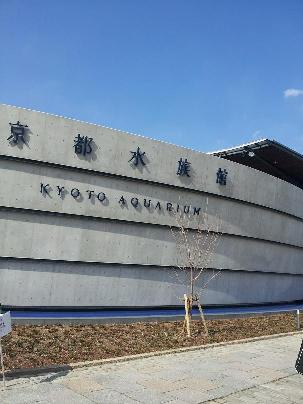 京都3