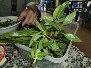 ローカルのフォー屋さんの楽しみ方4