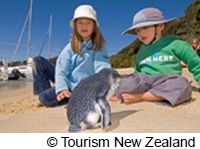 史上最大級のペンギン