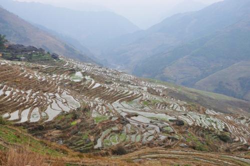 龍脊棚田11