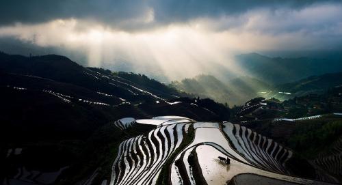 龍脊棚田17