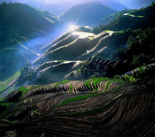 龍脊棚田24