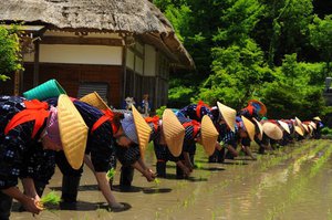 白川郷 田植え祭り 開催のお知らせ！！