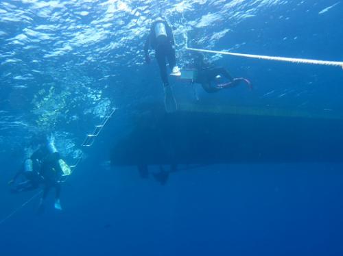 ボートダイビング