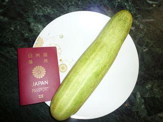 デカきゅうり マウントフジさんの旅行ブログ トラベルコ
