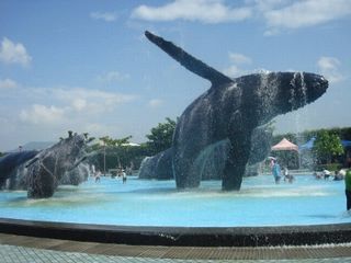 國立海洋生物博物館1