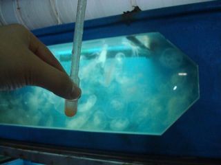 國立海洋生物博物館3