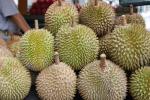 durian