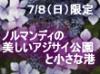世界で最も多くのアジサイを所有する公園でアジサイと緑を満喫！パリから最も近い海水浴場のひとつイギリス海峡に面した港町ディエップにも立ち寄ります