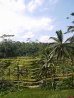 テガカラン　ライステラス　TOP縦