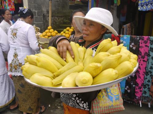 ブサキ とうもろこし
