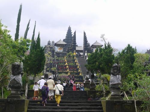 ブサキ ちょっと近づいてきた