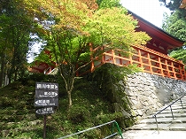 西塔
