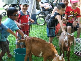 ハワイ・カントリー・フェア2