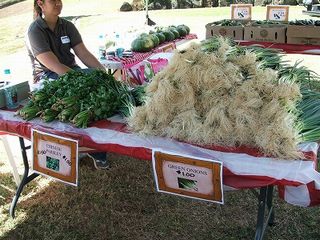 ハワイ・カントリー・フェア３