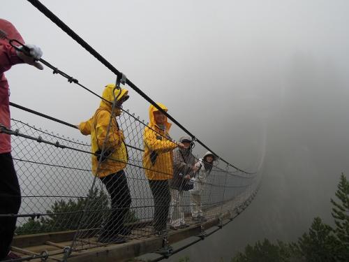 つり橋はどこへ続く・・・
