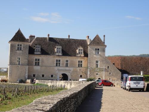 ブルゴーニュワインツアー