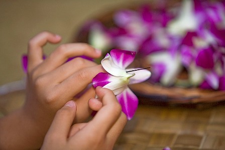 レイ・メイキング