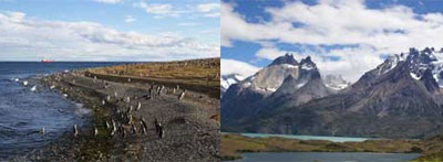 マゼランベンギン島/パイネ国立公園