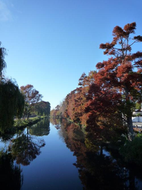 晩秋のエイボン川(記事)
