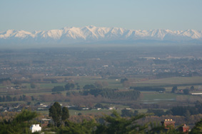 Ｃｕｐ　Ｃａｆｅ　４