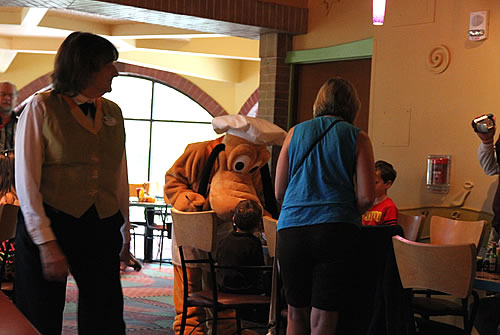 グーフィーズ15