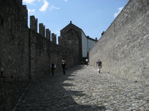 ベリンツォーナ2