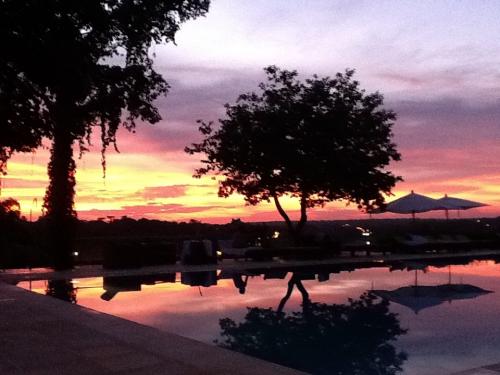 イグアスの滝１