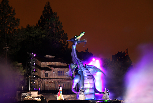 ディズニーランド39