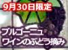 白ワインで有名なブルゴーニュ地方シャブリのぶどう栽培農家にて、本場のぶどう摘みを体験してみませんか?