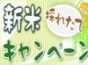 去年も行いましたキャンペーンです。
とっても美味しいお米です。
皆様是非那智勝浦町へお越し下さい
