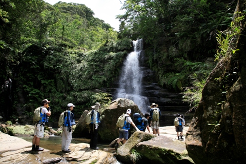 ジャングルリフレッシュ