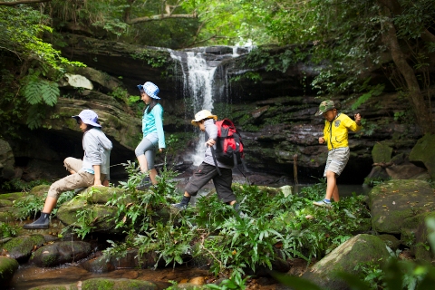 ジャングルリフレッシュ