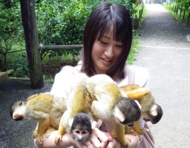 石垣やいま村リスざる