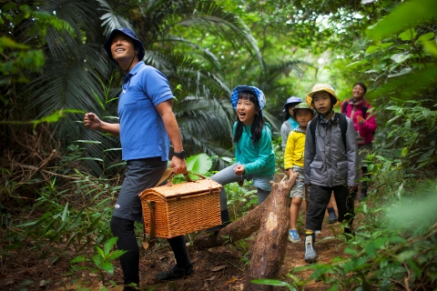 ジャングルリフレッシュツアー